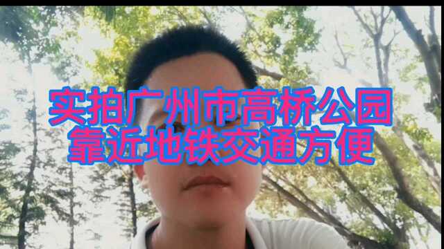 实拍广州市龙归高桥公园实景,各种大树成荫,众人树下乘凉!