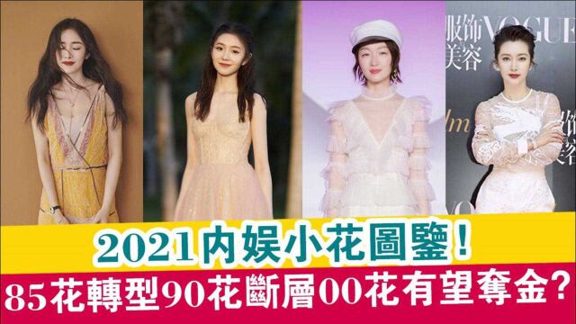 2021内娱小花图鉴:85花转型、90花断层、00花最有望夺金