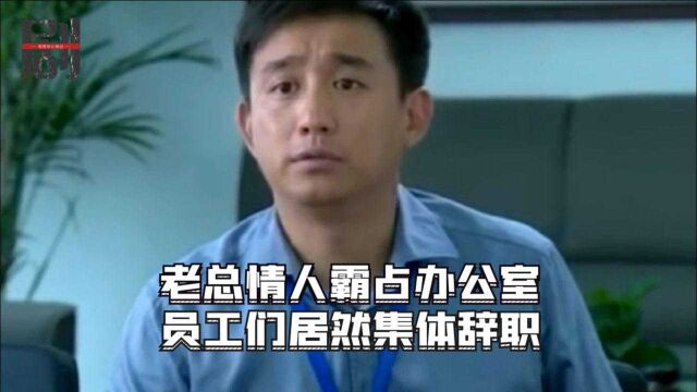 财务总监被老总的情人霸占办公室,不料下秒直接辞职,手下也纷纷走光!