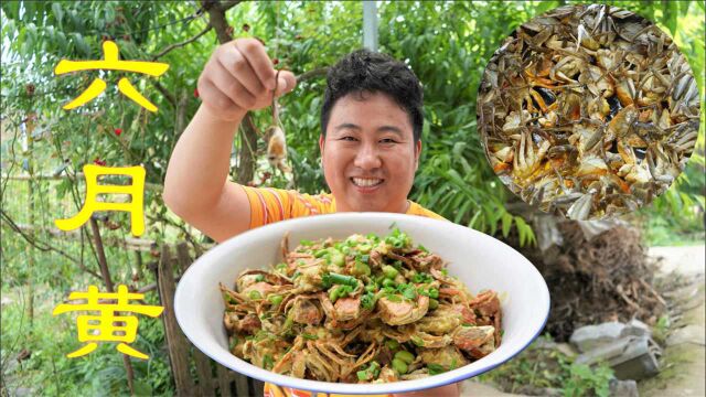 花45块买三斤大闸蟹,秘制江南名菜“面拖蟹”,肉嫩黄多鲜掉眉毛