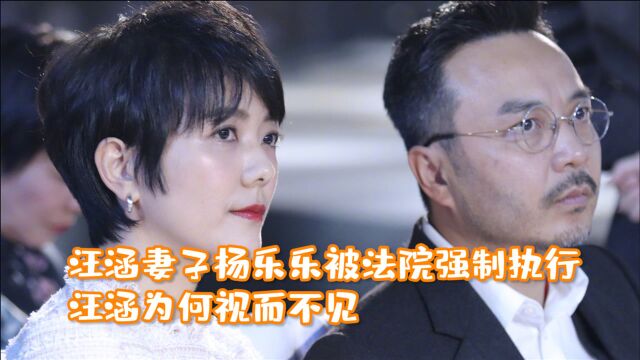 汪涵妻子杨乐乐欠债14万?被法院强制执行,汪涵为何视而不见