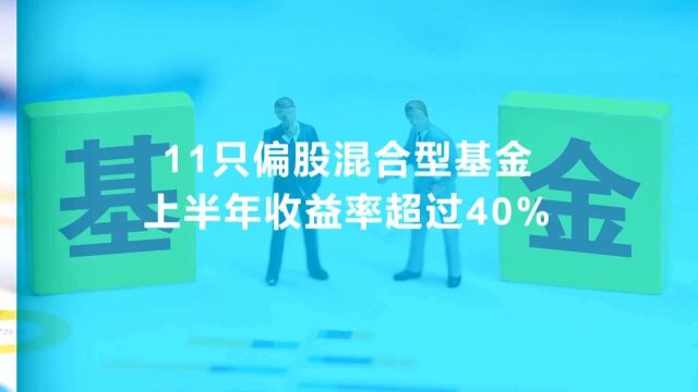 最高收益59.91%!上半年偏股混合型基金冠军到底重仓了什么?|一份观察