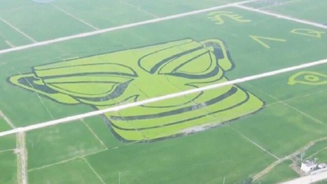 震撼!四川一稻田现巨型青铜面具展示“神秘微笑”