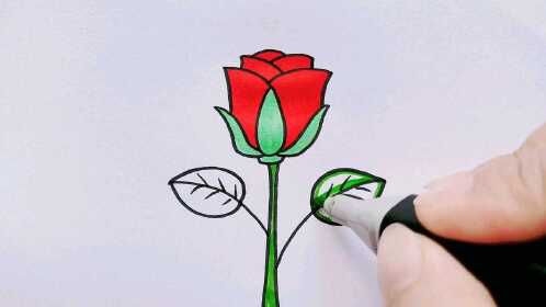 玫瑰花这样画超简单，你也试试吧