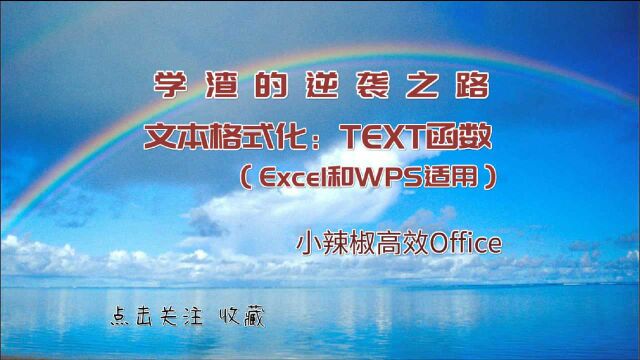 文本函数Text函数 Excel函数公式入门教程(适合Office及WPS)