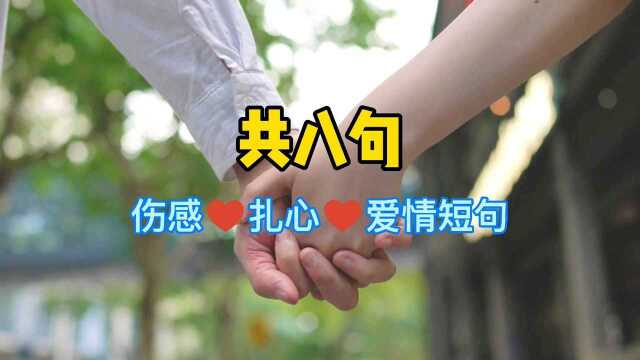 情感语录:爱情既能给一个人快乐和幸福,也能带给一个人烦恼