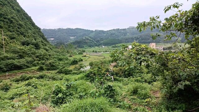 好地方的风景得配好用法才完美