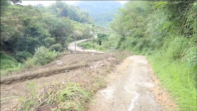 茂名一村道建成33年破损27年,村民:救护车都进不来