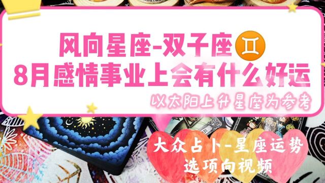 黑猫塔罗【风象星座专场双子座♊️】8月感情发展事业走向