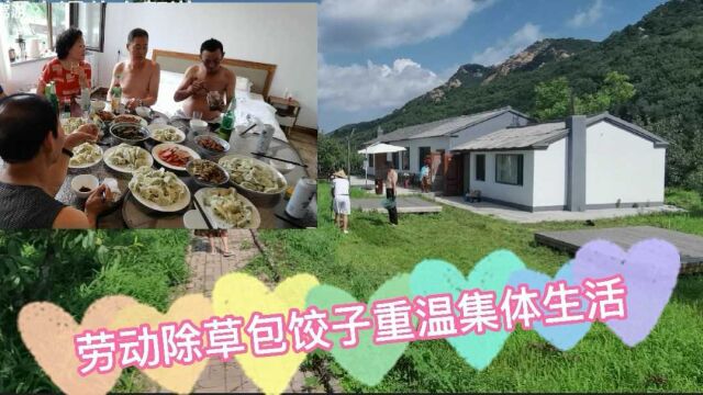 回忆知青时代相聚千山,朴宿山庄劳动除草包饺子,重温集体生活