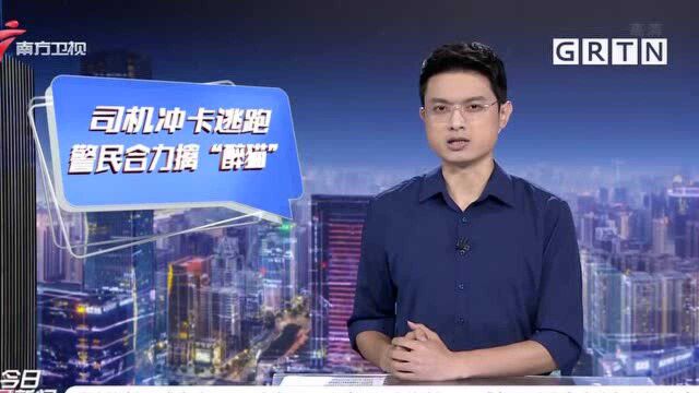 东莞厚街 男子醉驾冲卡 热心市民追踪一公里截停