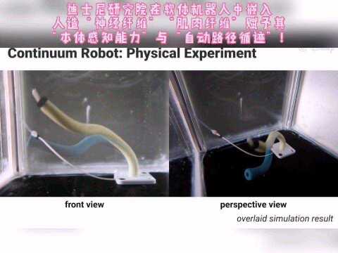 迪士尼研究院在软体机器人中嵌入人造“神经纤维”“肌肉纤维”赋予其“本体感知能力”与“自动路径循迹”!