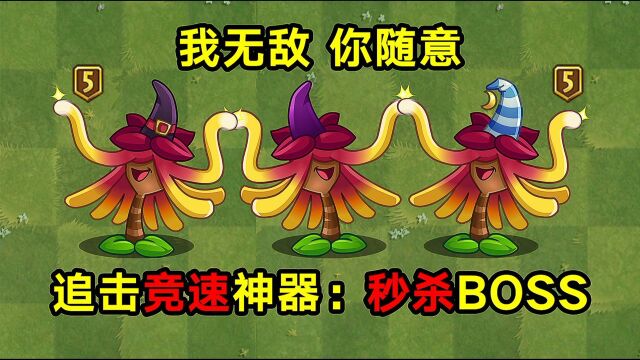 植物大讲堂:追击神器金缕梅女巫,到底有多厉害?