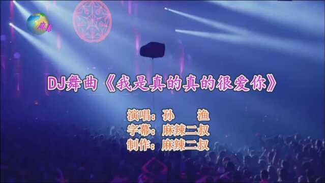 车载DJ舞曲《我是真的真的很爱你》孙渔演唱高音质劲爆DJ版经典歌曲