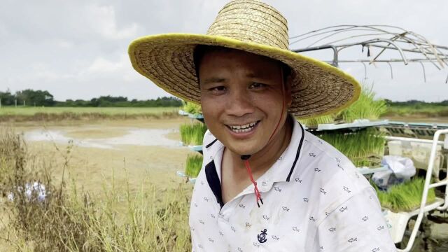 暖湿气流送“甘露”!阳江旱情缓解,晚造插秧完成近半