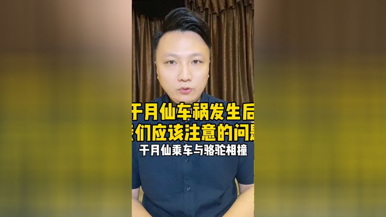 如何避免于月仙悲剧重演?骆驼为何频繁上路?