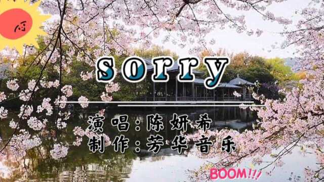 一首英文歌曲《sorry》,对不起,令多少人听了伤感而落泪!