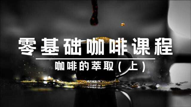 零基础咖啡课程咖啡的萃取(上)