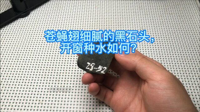 苍蝇翅细腻的黑石头,开窗种水如何?