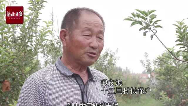 走进乡村看小康|河北南皮县十二里村:大运河畔果飘香