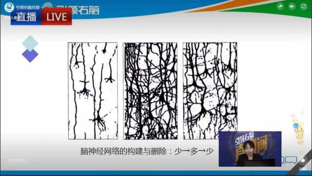 全脑教育理论体系(下)p4