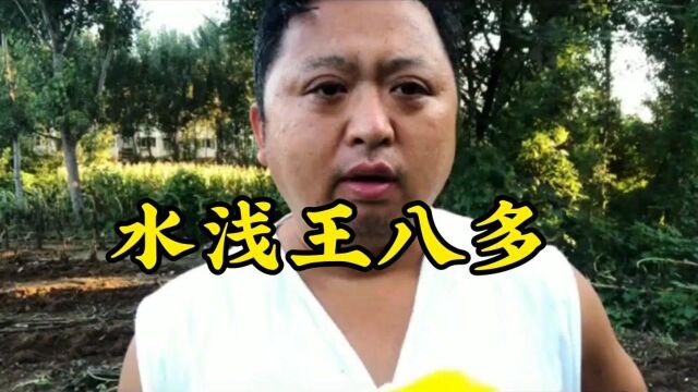 水浅王八多