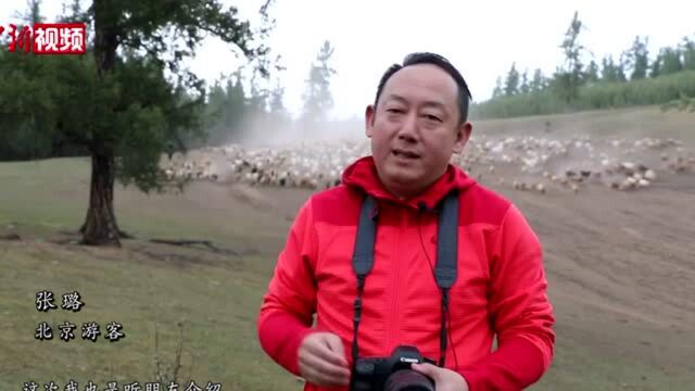 新疆阿勒泰千里牧道牛羊转场