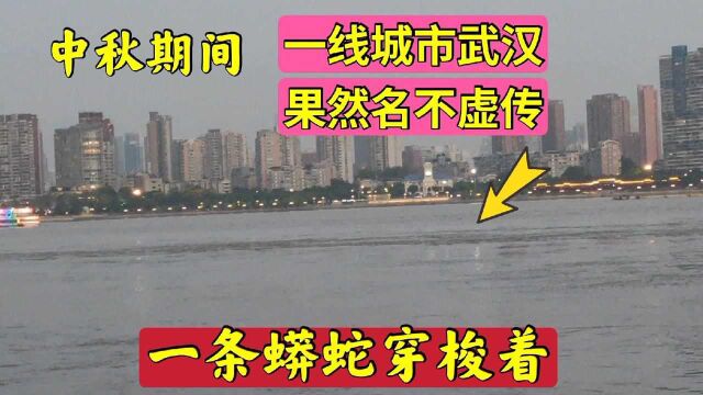 武汉终于晋升一线城市,江面一条“蟒蛇”穿梭着,超越北上广指日可待