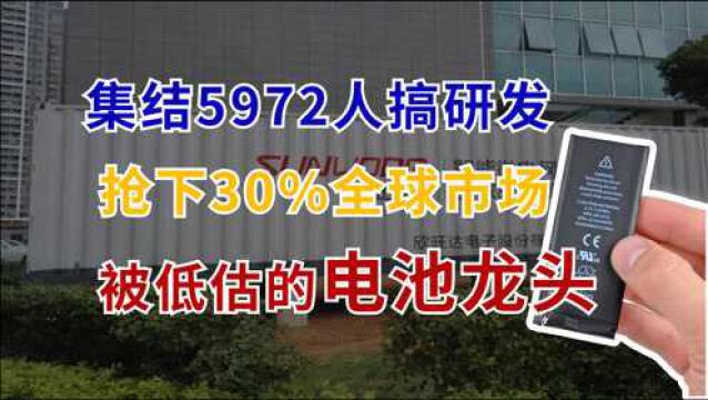 集结5972人搞研发,被低估的国产电池龙头,抢下30%全球市场