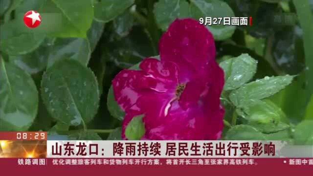 山东龙口:降雨持续 居民生活出行受影响