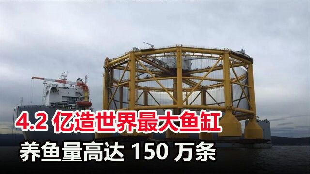 为满足吃货欲望,我国花4.2亿建世界级大鱼缸,一次可养150万条鱼