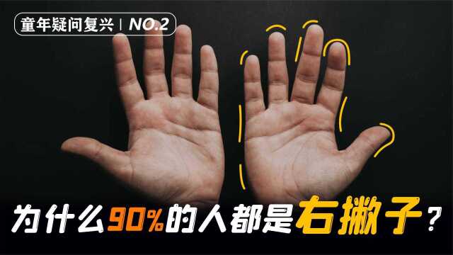 生活中90%的人都是右撇子,你知道这是为什么吗?