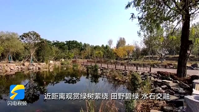 国庆美景打卡地|滨州小街湾:远望天高地阔 大河奔流不息 近观绿树萦绕 田野碧绿