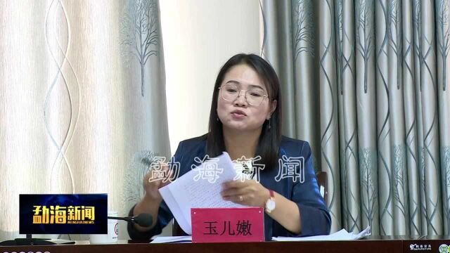 勐海县召开党史学习教育第二轮巡回指导反馈会