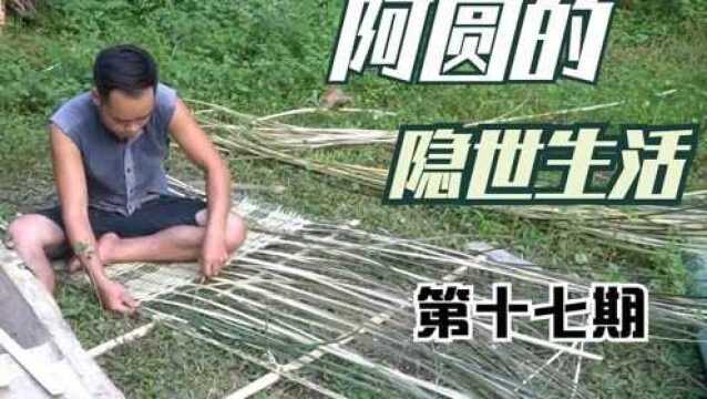 原始技术17:编制凉席,完善打米槽收获水稻#我的国庆假期 #原始技术