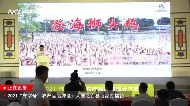 汕头市澄海区区委副书记、代区长胡记杰现场推介澄海狮头鹅