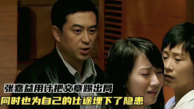 蜗居(九):张嘉益用计踢文章出局 同时也为自己的仕途埋下了隐患