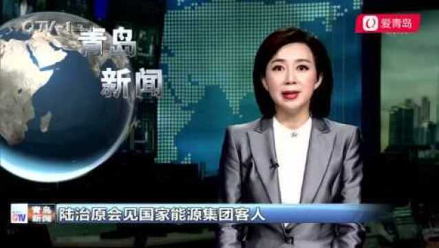 陆治原会见国家能源集团客人