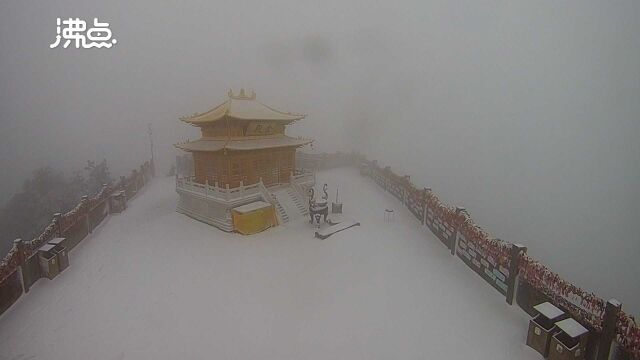 河南洛阳白云山降下2021年第一场雪 景区:比去年还晚了12天