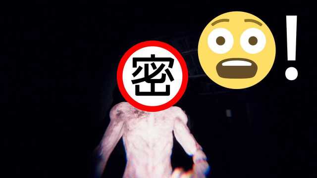 【恐怖游戏】寂静岭PT翻版?探索无限循环的诡异走廊