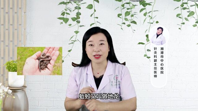 蚯蚓能治什么病?中医:适用于这些患者,这些好处身体看得见