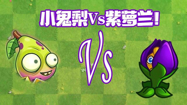 植物大战僵尸:小鬼梨Vs紫萝兰!你更看好谁?