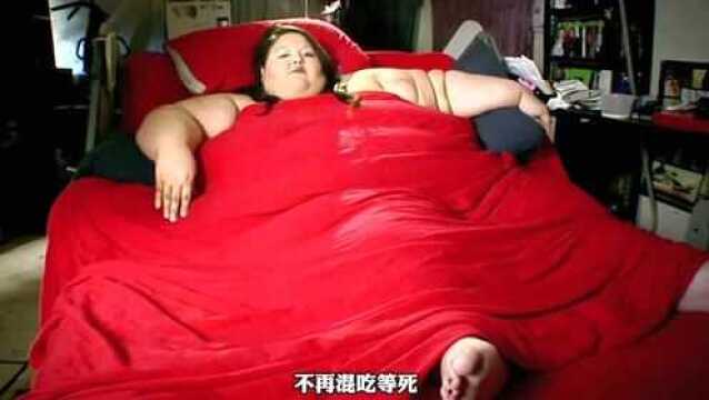 半吨是什么概念?