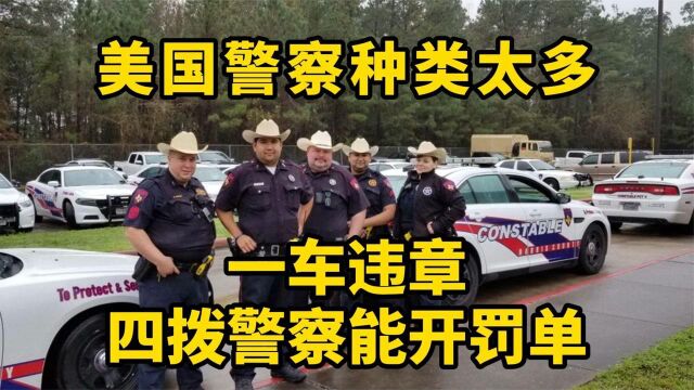 美国警察构成太复杂,一个车违章四拨警察能开罚单,县警就有两拨