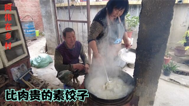 成本比肉还贵的素饺子,味道美个头大,吃着老得劲了!