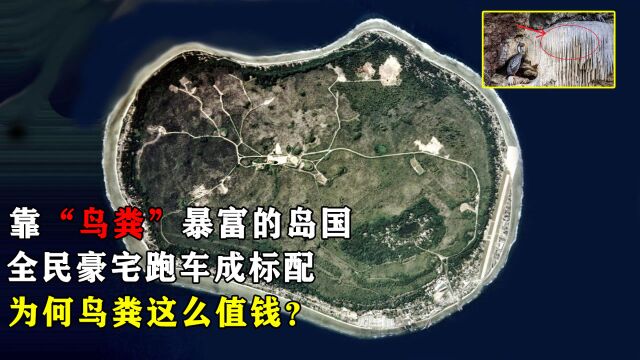 靠“鸟粪”暴富的岛国,全民豪宅跑车成标配,为何鸟粪这么值钱?