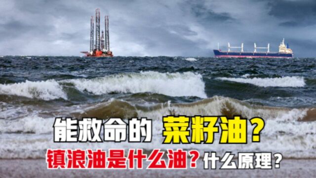 “镇浪油”是什么油,为什么把它倒入海面能救命?看后涨知识