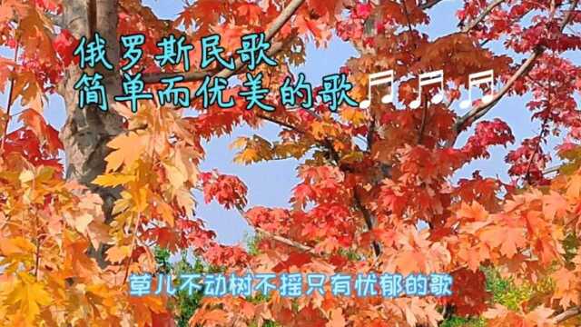 俄罗斯民歌《田野里静悄悄》♬ 淡淡的忧伤,打动人心.