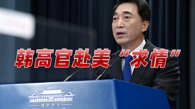 美国盯上韩国半导体企业!韩政府召开紧急会议,高官赴美“求情”