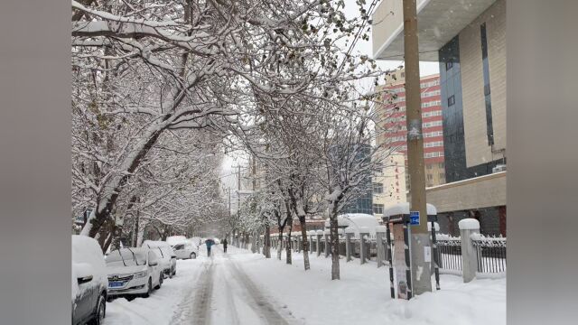 11月9日,沈阳大雪不停